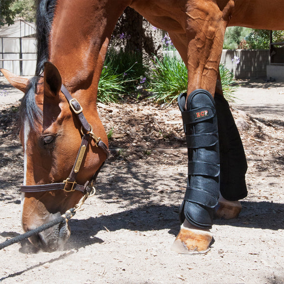Far Infrared Therapeutic Wraps - Far Infrared Therapeutic Products - Equine Comfort Products