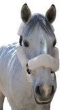 Halter Fleece Set - 6 Pieces - Halter Fleece - Equine Comfort Products