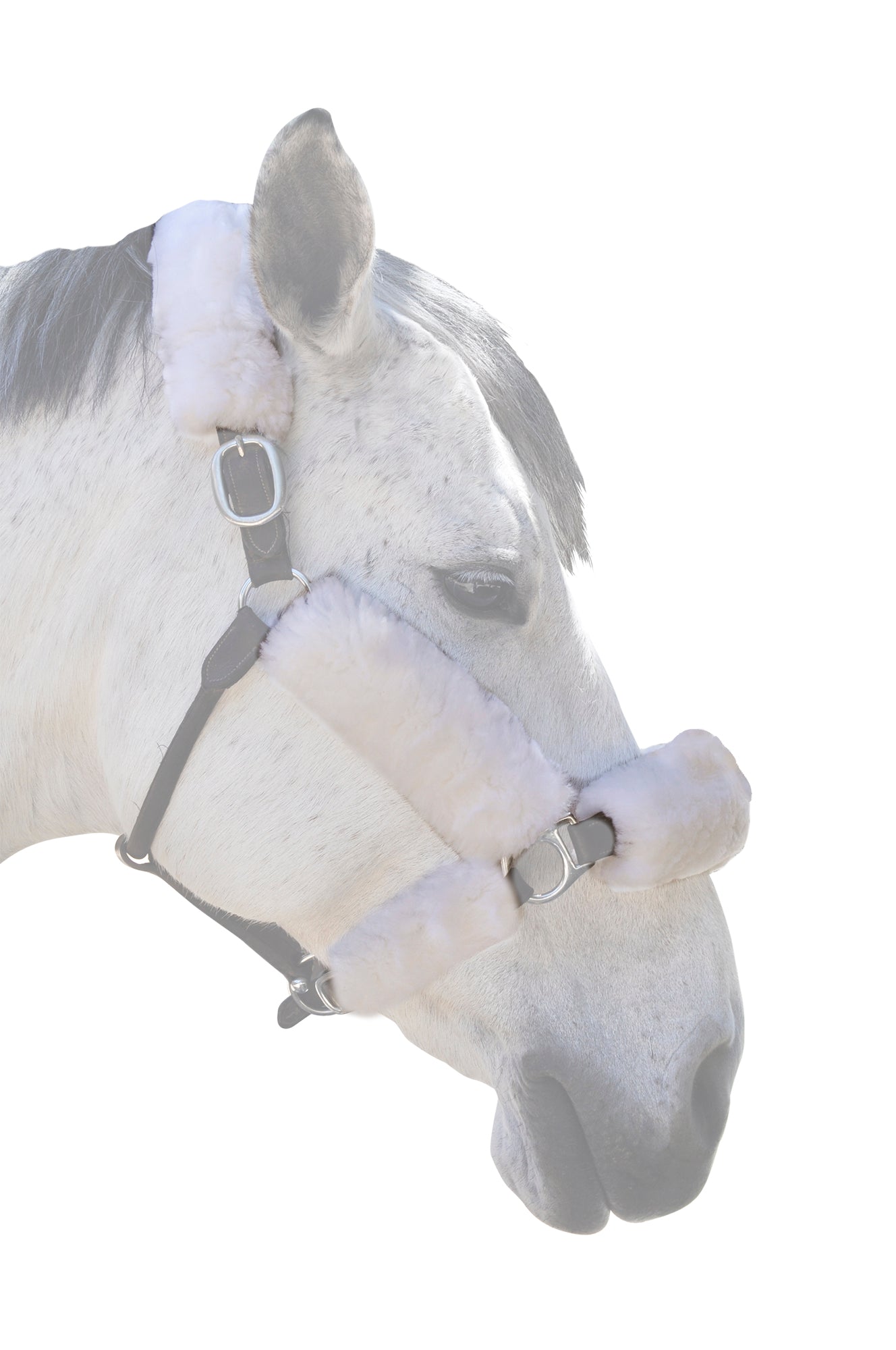 Halter Fleece Set - 6 Pieces – Equine Comfort Products